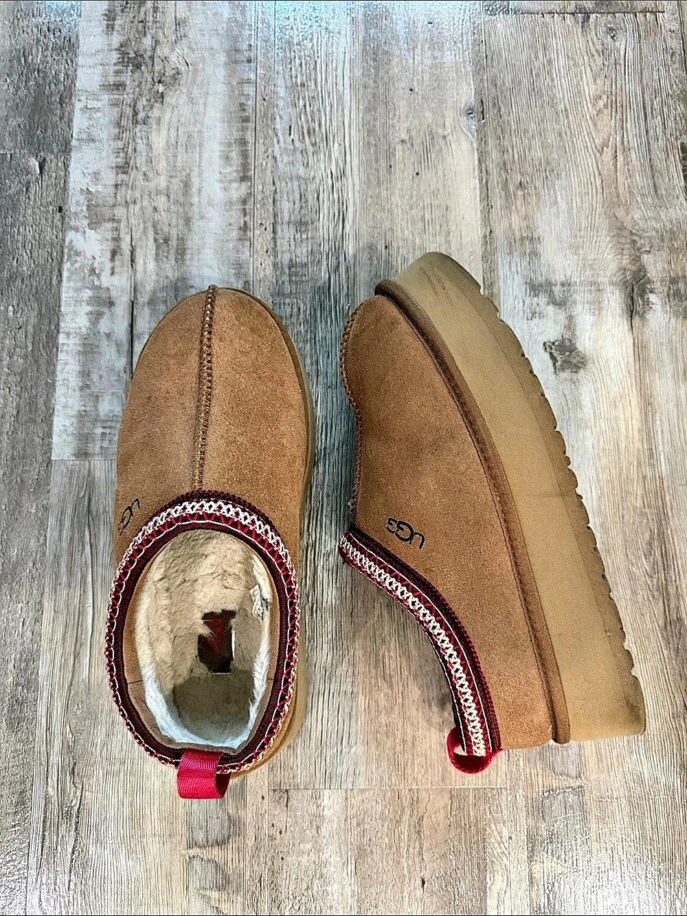UGG Tazz Slipper Suede Slippers in Brown